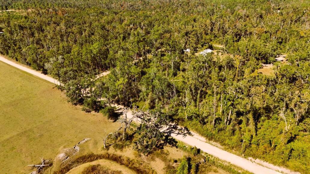 An aerial view shows a dirt road running alongside a large, wooded area and pasture — Lot 56 NW 29th Loop, FL 32053, FL