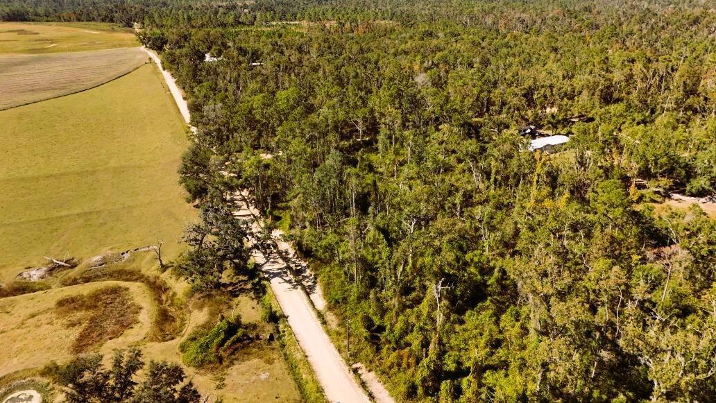 An aerial view shows a dirt road running between a grassy field and a wooded area — Lot 56 NW 29th Loop, FL 32053, FL