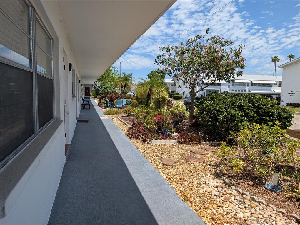 An exterior walkway runs alongside a building with a landscaped garden and palm trees — 5850 18TH STREET N UNIT 7, ST PETERSBURG, FL