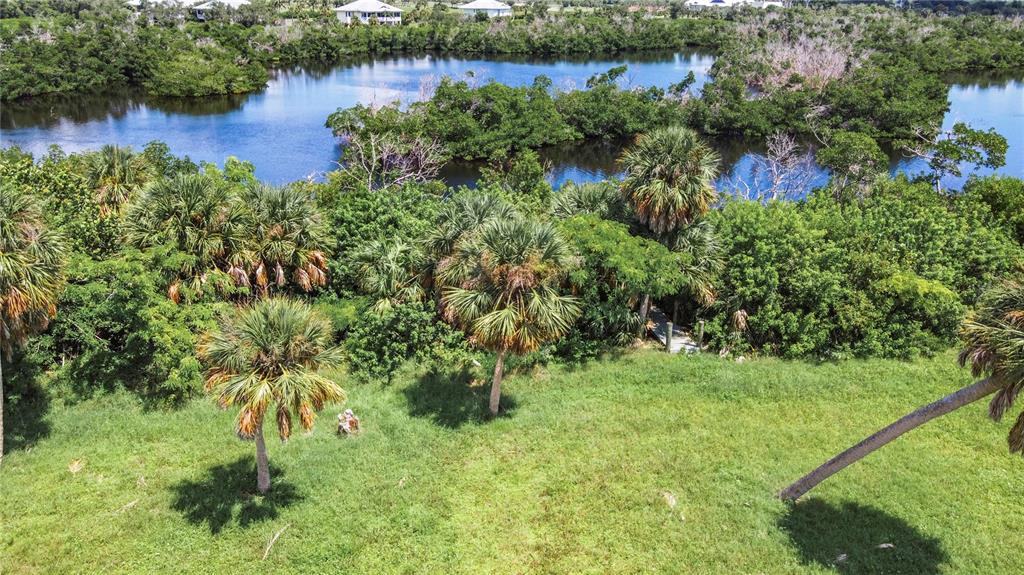 An aerial view shows a grassy yard with palm trees overlooking a pond and mangroves — 12411 CORAL VISTA CIRCLE, PLACIDA, FL