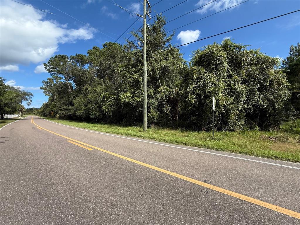 A paved road runs alongside a dense, wooded lot under a blue sky — S GLENCOE ROAD, NEW SMYRNA BEACH, FL