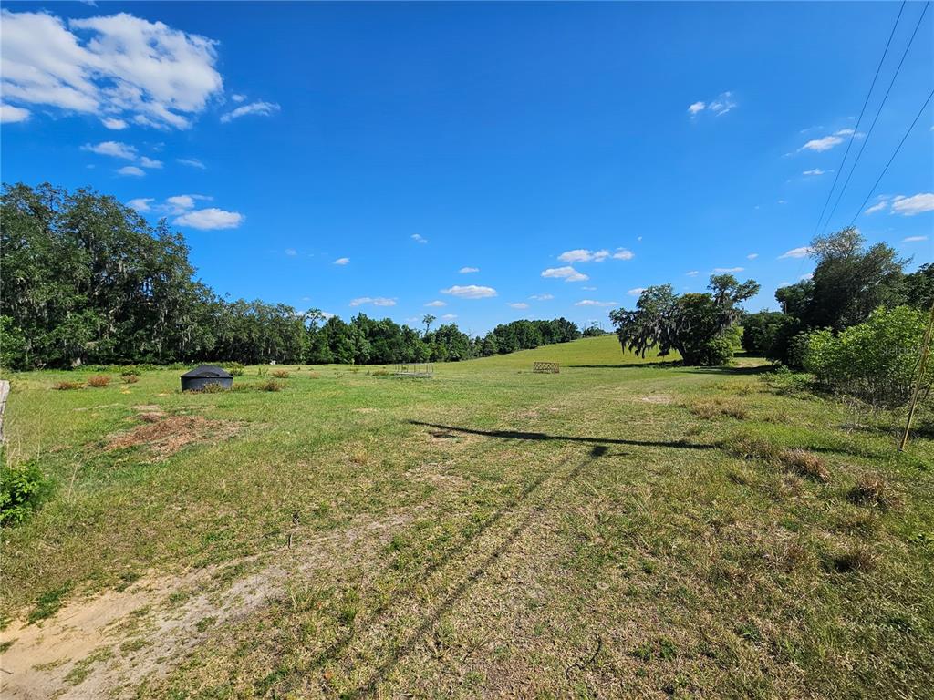 A grassy, open field with scattered trees, a water trough, and a clear blue sky — 38646 CLINTON AVENUE, DADE CITY, FL