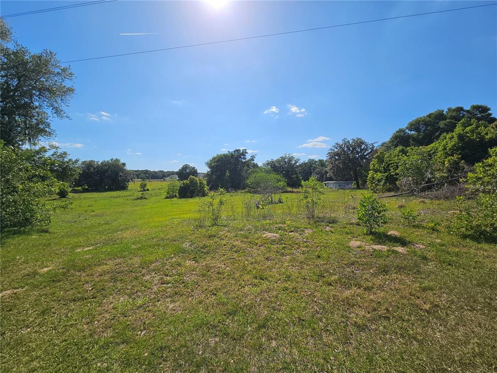A grassy, open field with scattered trees and a small structure in the distance — 38646 CLINTON AVENUE, DADE CITY, FL