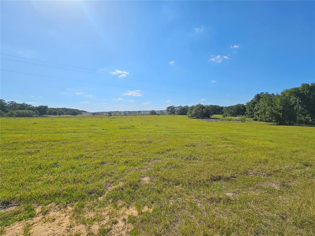 A wide, grassy, open field under a clear blue sky with distant trees — 38646 CLINTON AVENUE, DADE CITY, FL