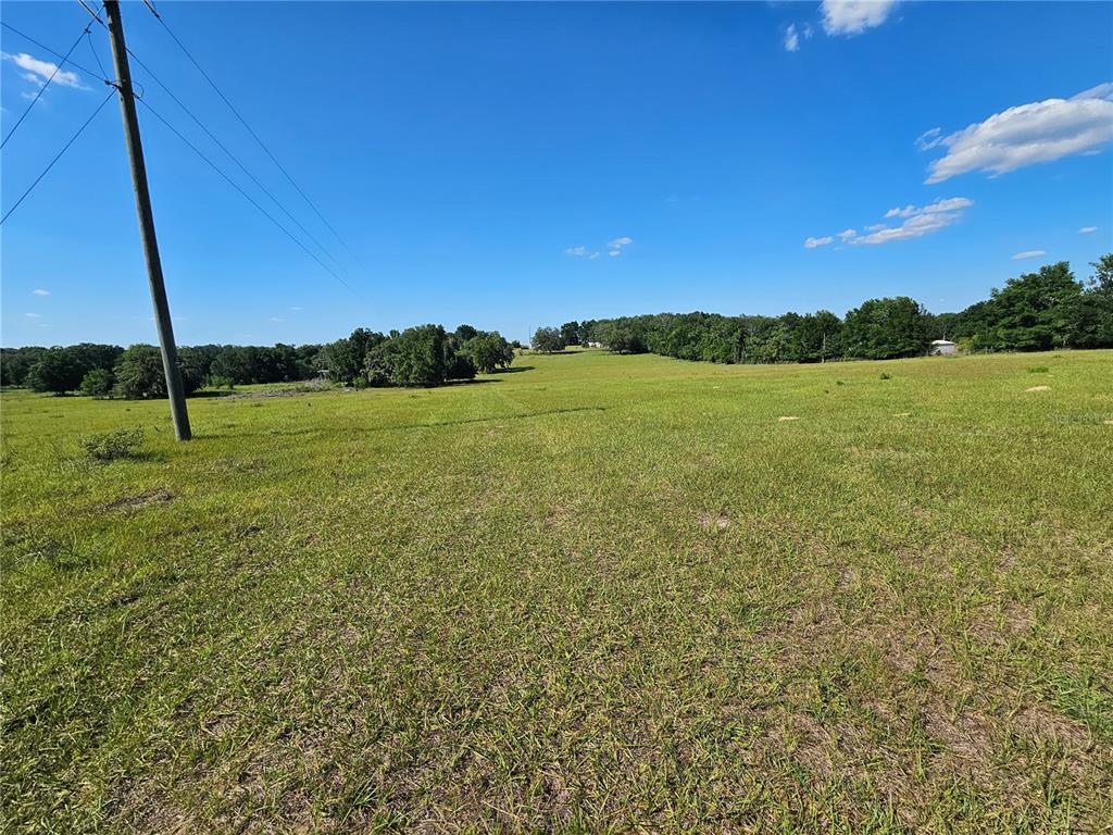 A wide, grassy field stretches toward a line of trees under a clear blue sky — 38646 CLINTON AVENUE, DADE CITY, FL