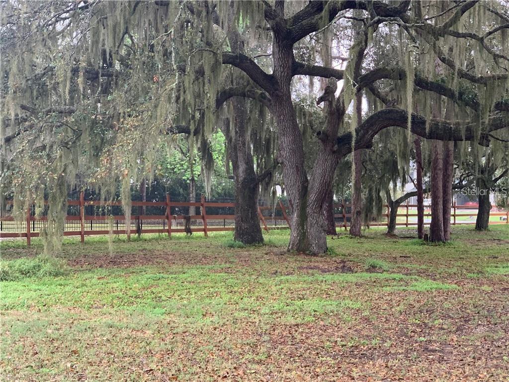 MARJORIE ROAD, ST CLOUD, FL — photo 3 of 8
