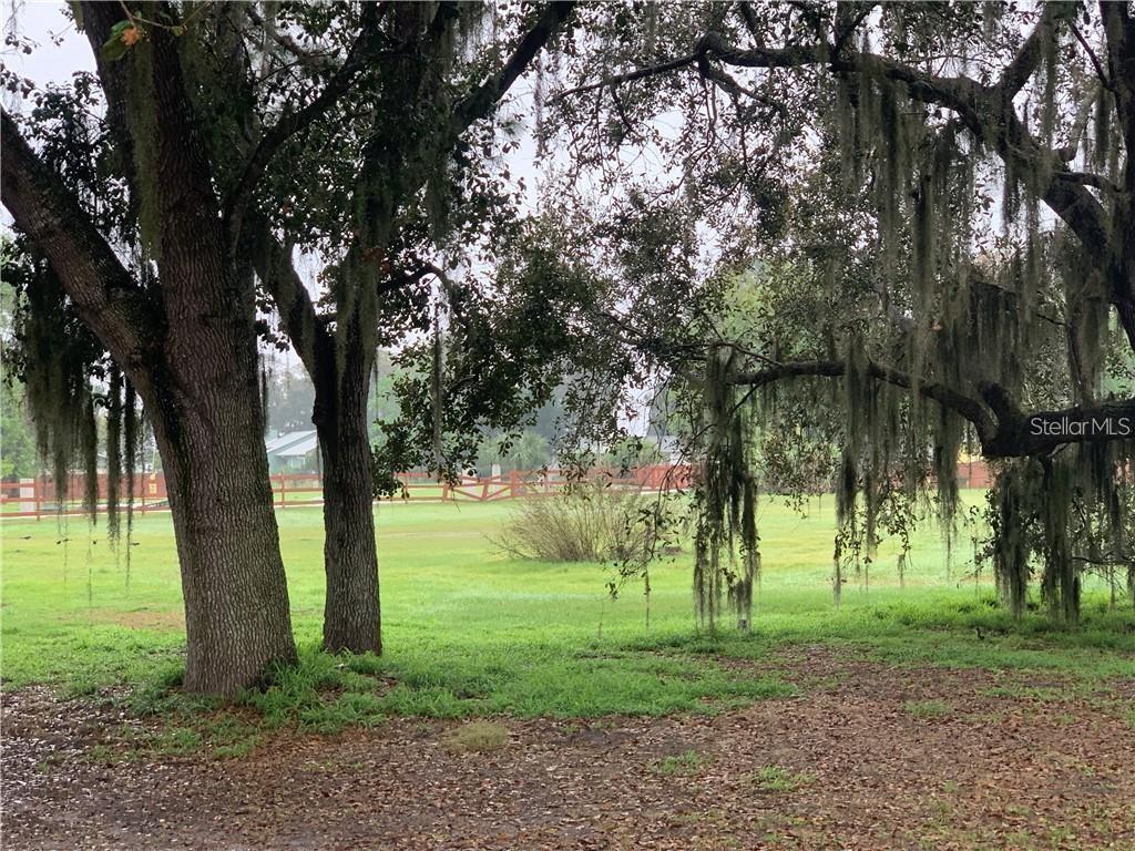 MARJORIE ROAD, ST CLOUD, FL — photo 4 of 8