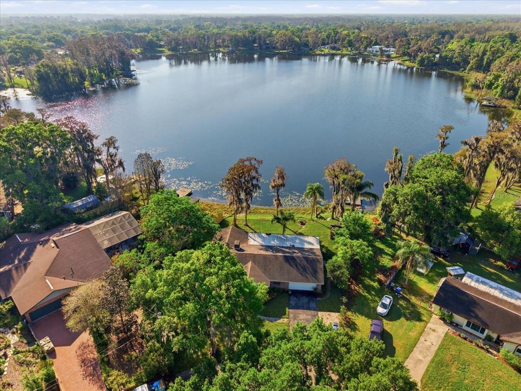 An aerial view of a lakefront house with a large yard and surrounding trees — 700 DRUID WAY, LUTZ, FL