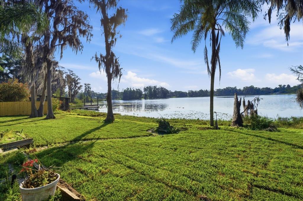A grassy backyard leads to a lake with tall trees and a small wooden dock — 700 DRUID WAY, LUTZ, FL