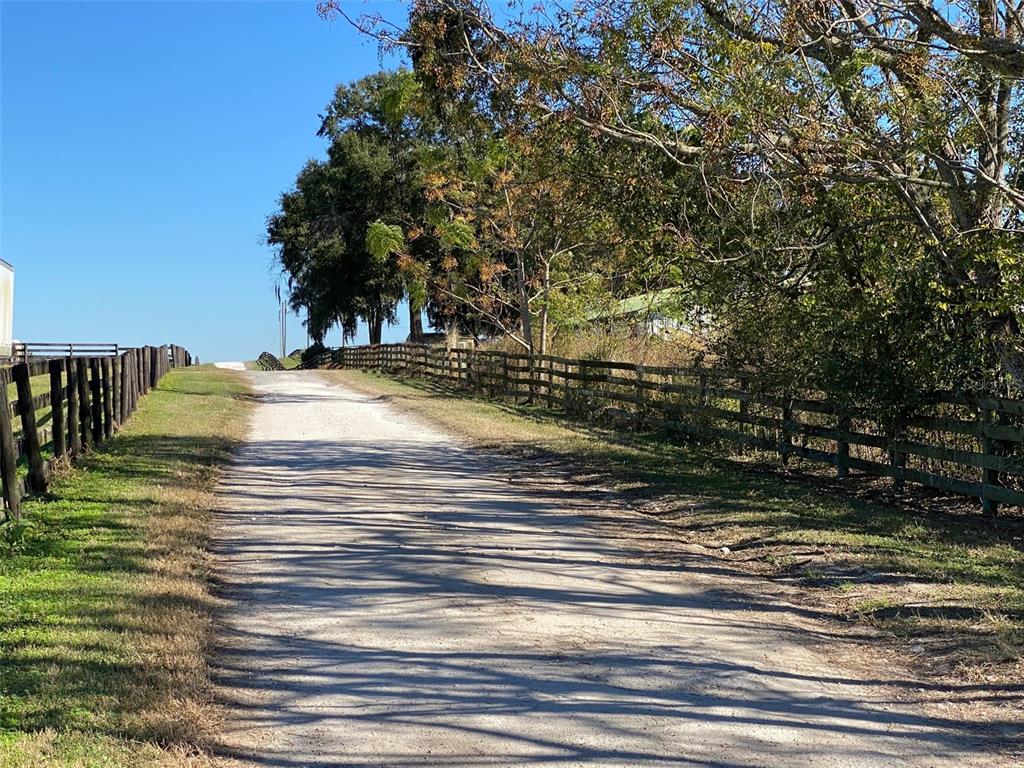 A dirt driveway leads past wooden fences toward trees and a building in the distance — 12020 N US HIGHWAY 441, OCALA, FL