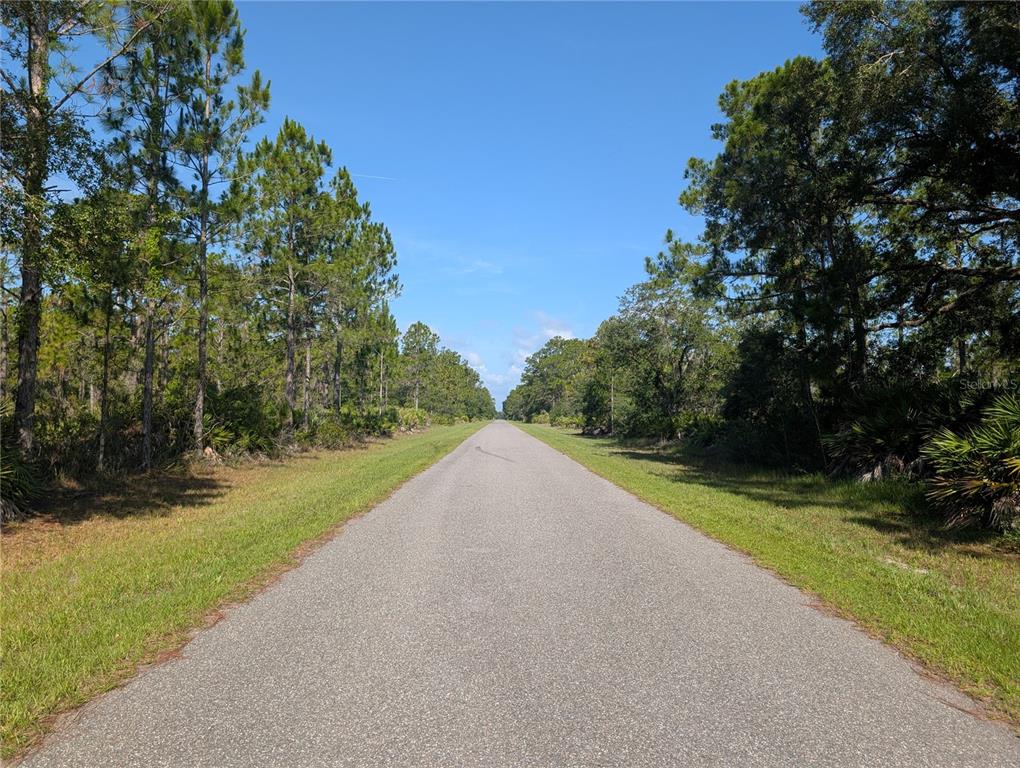 A paved road stretches into the distance, flanked by grassy shoulders and dense pine forests — 819 & 821 ALLAMANDA DRIVE, INDIAN LAKE ESTATES, FL