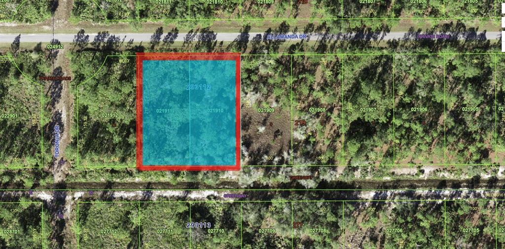An aerial map shows a highlighted rectangular plot of land bordered by roads and vegetation — 819 & 821 ALLAMANDA DRIVE, INDIAN LAKE ESTATES, FL