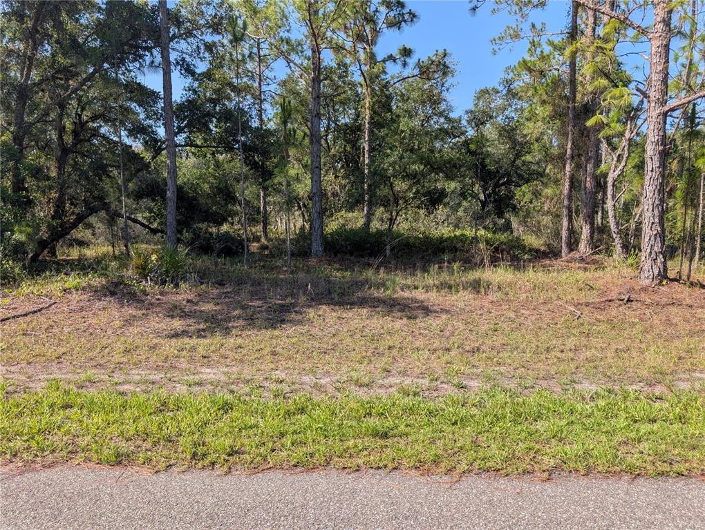 A vacant, grassy lot with scattered trees and brush sits adjacent to a paved road — 819 & 821 ALLAMANDA DRIVE, INDIAN LAKE ESTATES, FL