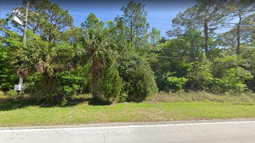 A vacant, wooded lot sits alongside a paved road with a utility pole nearby — 5881 SW 34TH STREET, GAINESVILLE, FL