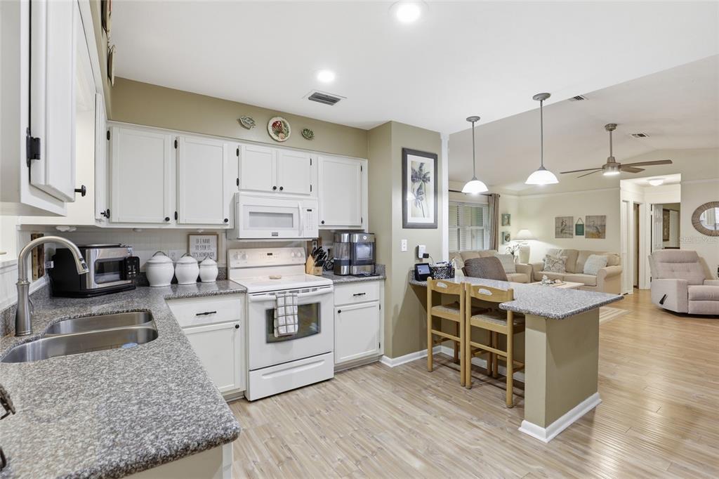 A kitchen with white cabinets, granite countertops, and a breakfast bar overlooking a living room — 710 SW 77TH TERRACE, GAINESVILLE, FL