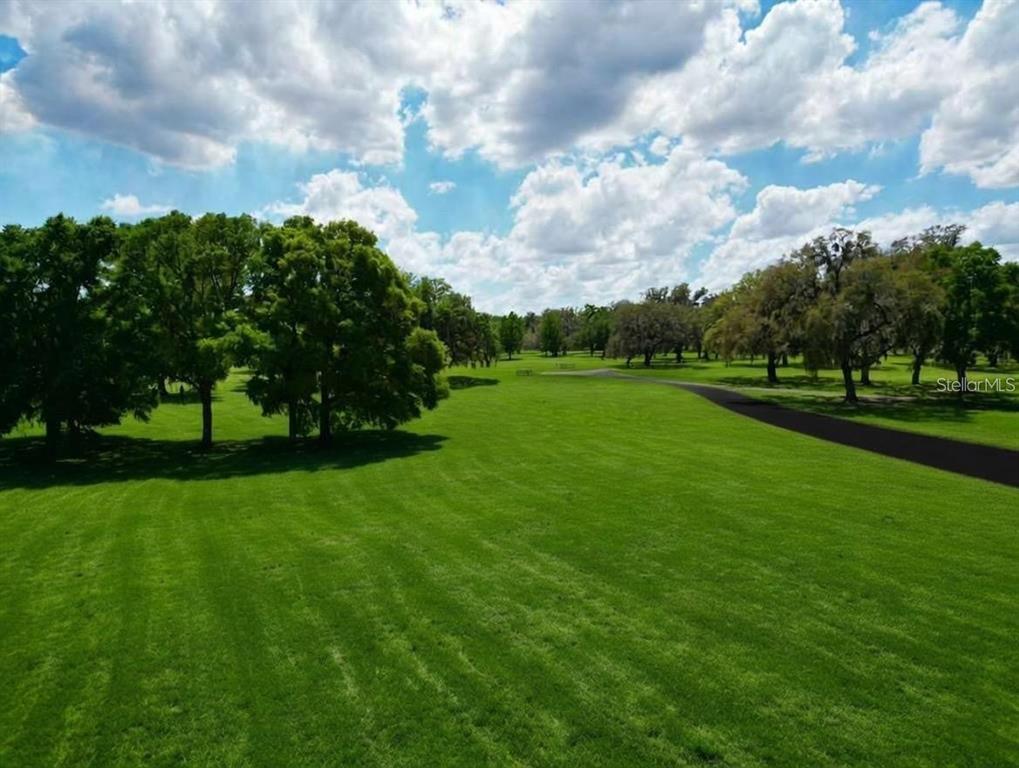 A large, manicured green lawn is surrounded by mature trees under a cloudy blue sky — TBD SE 115TH STREET, BELLEVIEW, FL