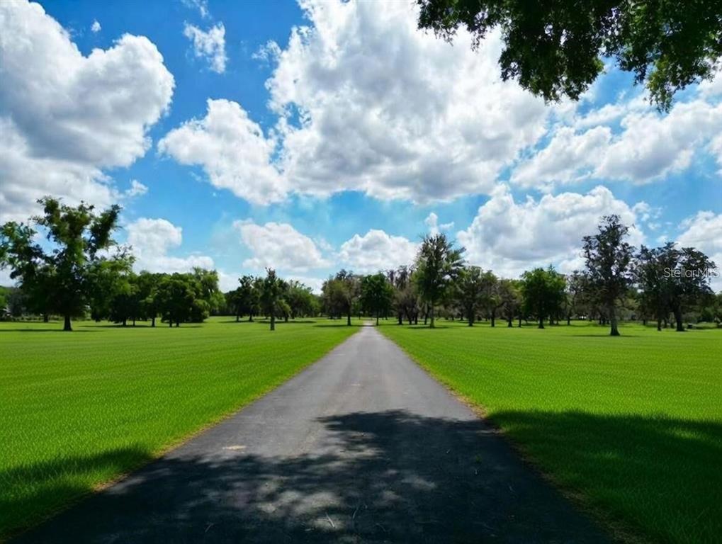 A paved driveway leads through a vast, manicured green lawn dotted with many mature trees — TBD SE 115TH STREET, BELLEVIEW, FL