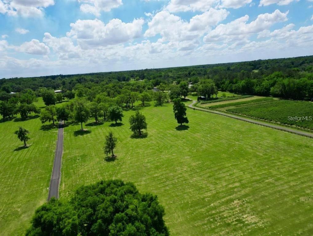 An aerial view shows a large, grassy field with scattered trees and a paved driveway — TBD SE 115TH STREET, BELLEVIEW, FL