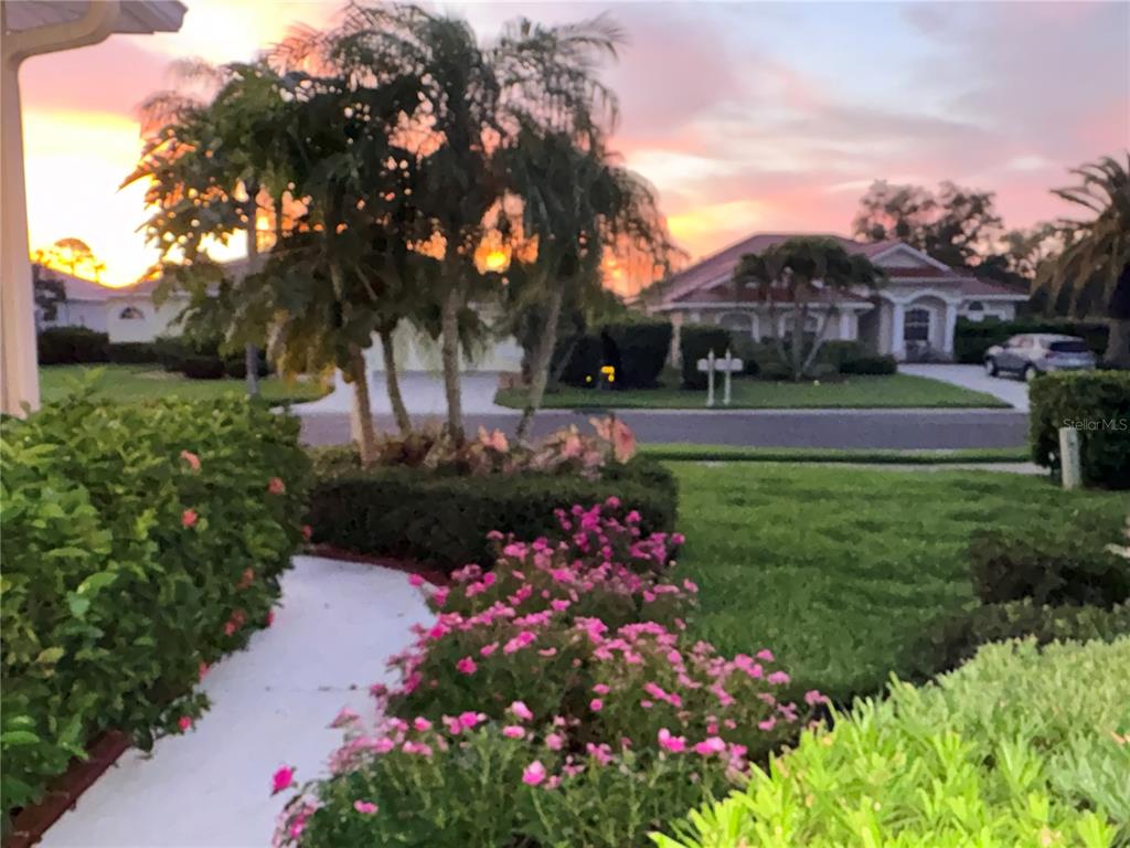 A sidewalk leads through a landscaped yard with pink flowers toward a suburban house at sunset — 7462 FEATHERSTONE BOULEVARD, SARASOTA, FL