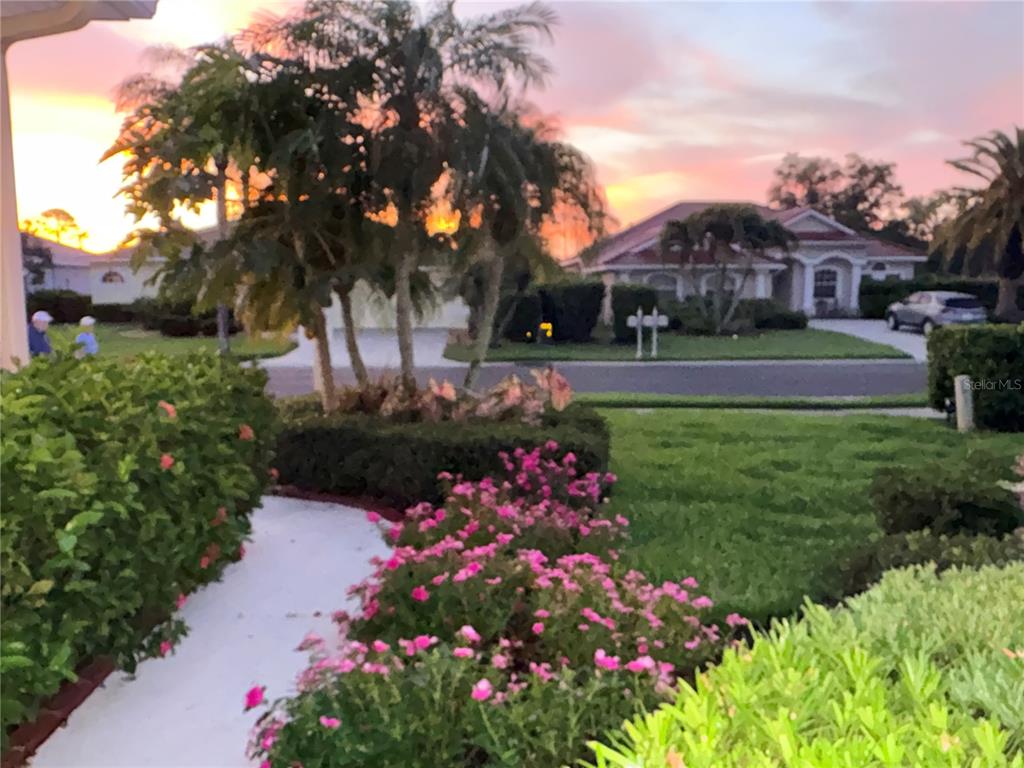 A suburban street view features a landscaped front yard with pink flowers at sunset — 7462 FEATHERSTONE BOULEVARD, SARASOTA, FL