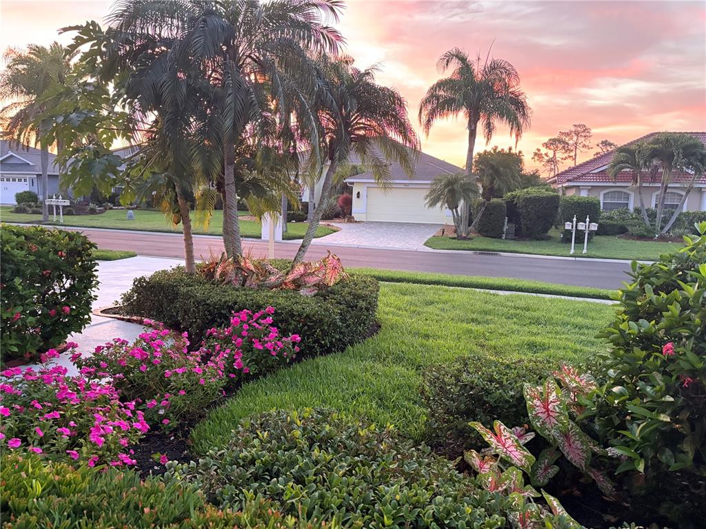 A suburban street view features palm trees, manicured landscaping, and houses under a sunset sky — 7462 FEATHERSTONE BOULEVARD, SARASOTA, FL