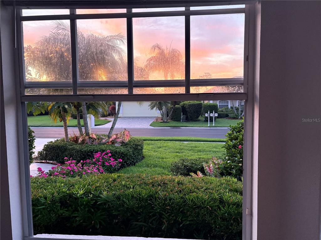 A view of a suburban street and landscaped yard seen through a large window — 7462 FEATHERSTONE BOULEVARD, SARASOTA, FL