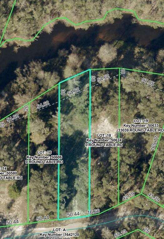 This is a map showing property lot lines and parcel information for a wooded area — 0 ROUND TABLE ROAD, DADE CITY, FL