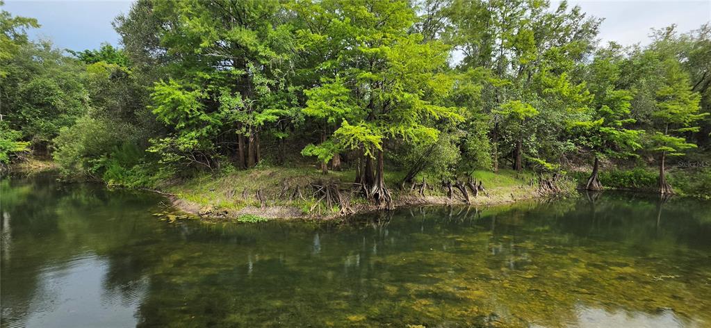 A small, tree-lined island sits in the middle of a calm, clear pond — 0 ROUND TABLE ROAD, DADE CITY, FL