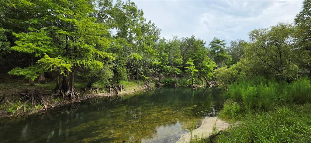 A calm, shallow creek flows through a lush, green forest with cypress trees and vegetation — 0 ROUND TABLE ROAD, DADE CITY, FL