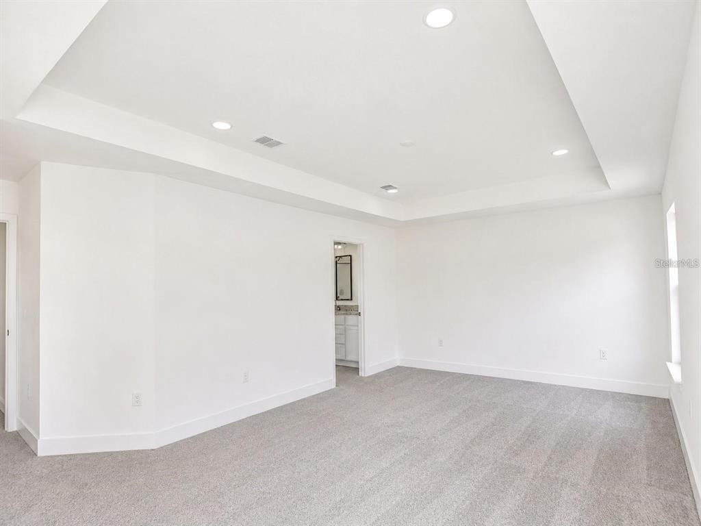 A spacious bedroom features white walls, gray carpeting, and a tray ceiling with recessed lighting — 1671 ANN ROSE WAY, LEESBURG, FL