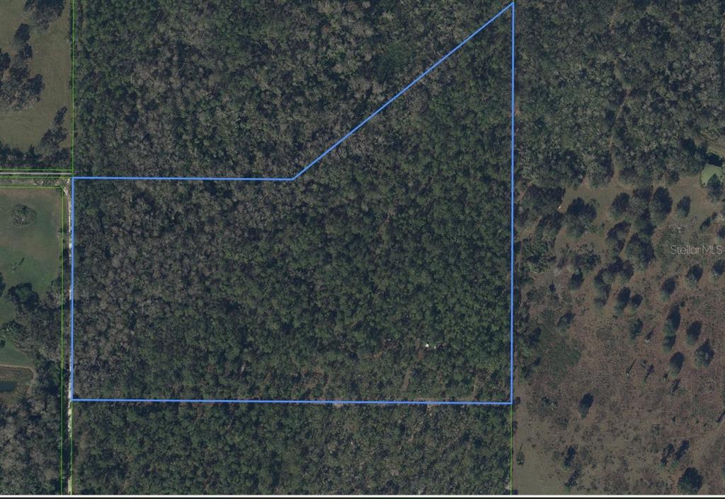 An aerial view shows a wooded plot of land outlined in blue — 49 FENNY BOSK TRAIL, VENUS, FL