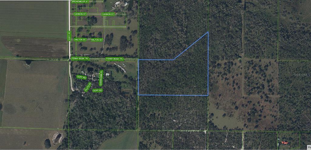 This is an aerial map showing a plot of land outlined in blue — 49 FENNY BOSK TRAIL, VENUS, FL