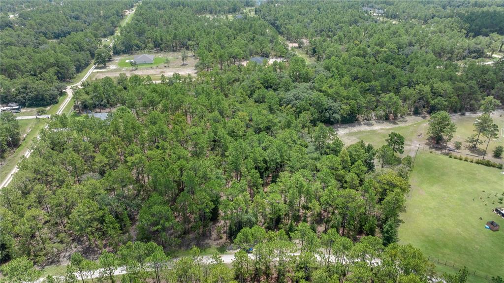 An aerial view shows a wooded lot with a dirt road and nearby residential houses — TBD SW 128TH TERRACE, OCALA, FL