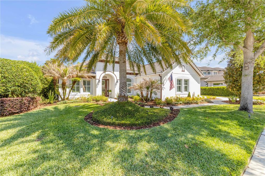 A white single-story house with a palm tree in the front yard and a walkway — 3029 ISOLA BELLA BOULEVARD, MOUNT DORA, FL