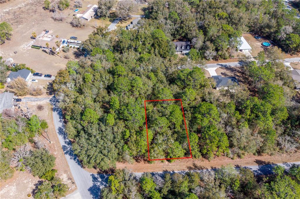 An aerial view shows a rectangular plot of land outlined in red amidst dense trees — TBD NE 1ST PL, LOT 6, WILLISTON, FL