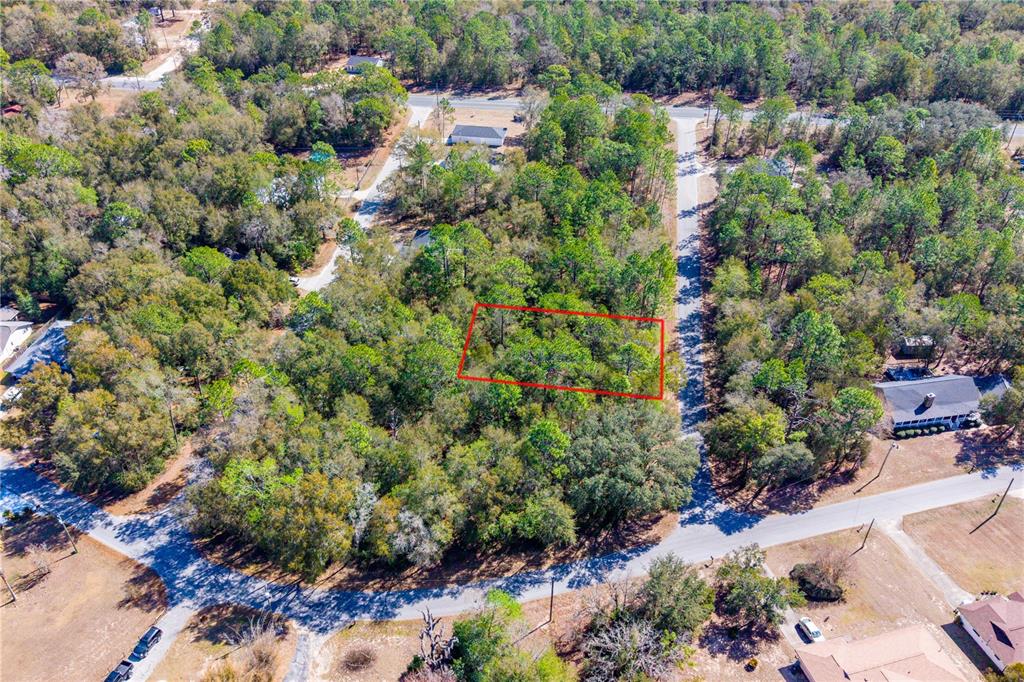 An aerial view shows a rectangular plot of land outlined in red amidst dense trees — TBD NE 1ST PL, LOT 6, WILLISTON, FL