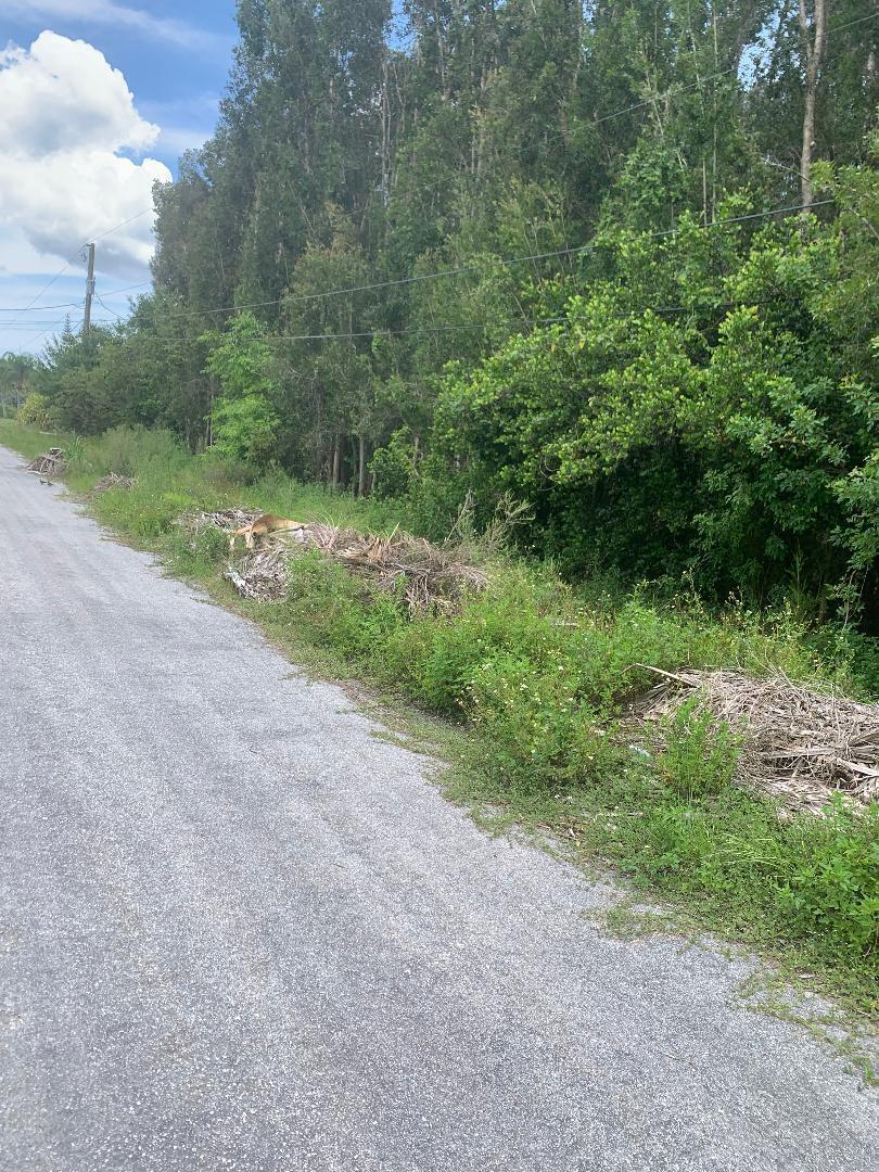 A gravel road runs alongside a wooded area with a pile of yard debris — 0000 87th Street N, FL 33412, FL