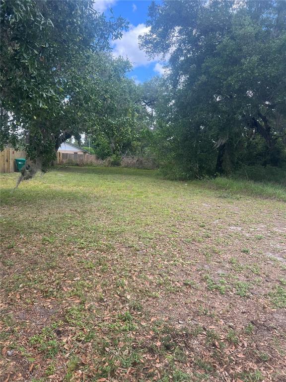 E JACKSON AVENUE, MOUNT DORA, FL — photo 2 of 2