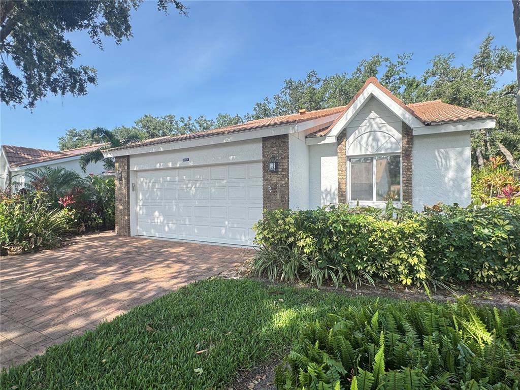 5804 GARDEN LAKES FERN