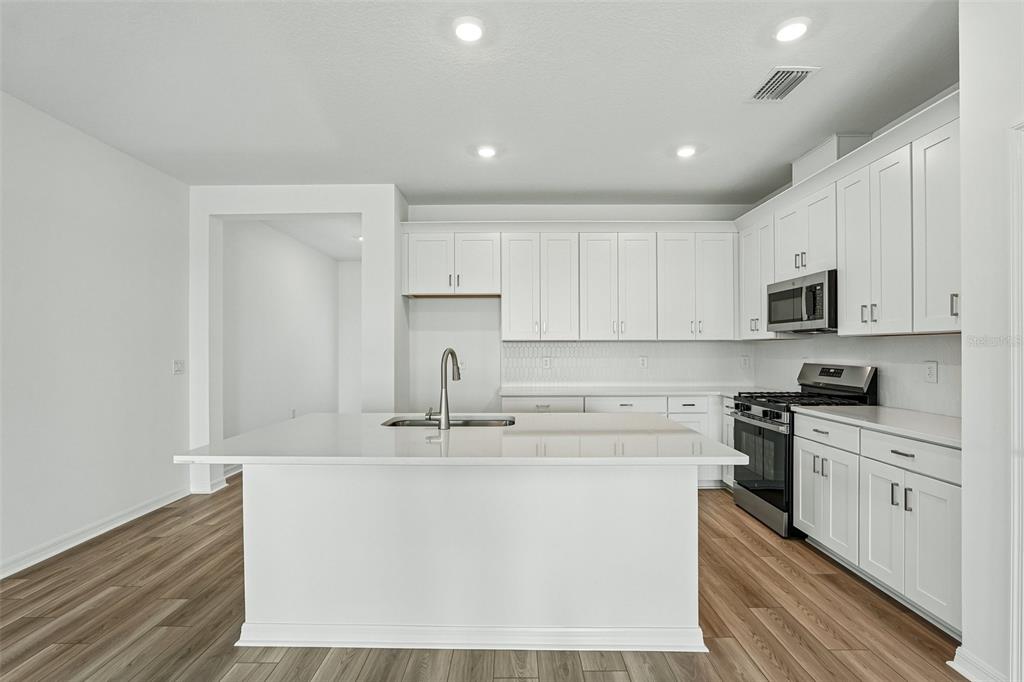 A modern kitchen features white cabinetry, a central island with a sink, and wood-look flooring — 13814 BERTRAND AVENUE, PALMETTO, FL