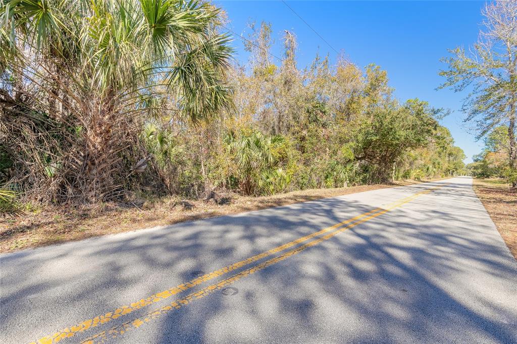 A paved road with a double yellow line runs alongside a wooded, undeveloped lot — 178 WEKIVA PARK DRIVE, SANFORD, FL