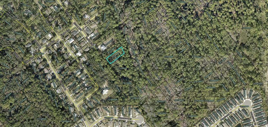 An aerial map view shows a highlighted rectangular land parcel surrounded by dense forest and roads — 0 SUNSET BOULEVARD, ST AUGUSTINE, FL