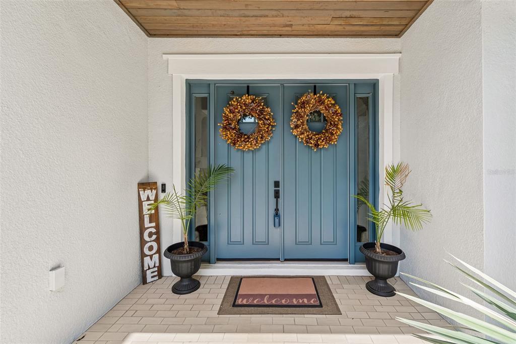 A front entryway features blue double doors with wreaths, potted plants, and a welcome mat — 8908 BELLA VITA CIRCLE, LAND O LAKES, FL