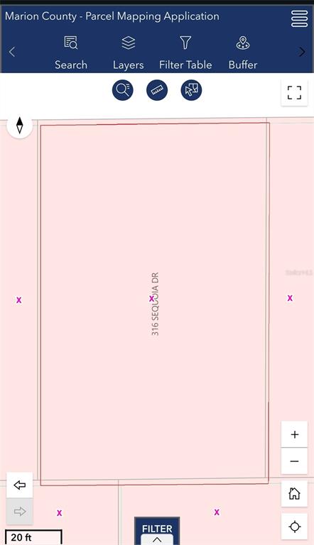 This is a digital map showing a rectangular property parcel on Sequoia Drive — 316 SEQUOIA DRIVE, OCKLAWAHA, FL