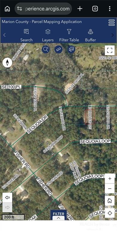 This is a map showing a residential parcel highlighted in red on a wooded lot — 316 SEQUOIA DRIVE, OCKLAWAHA, FL