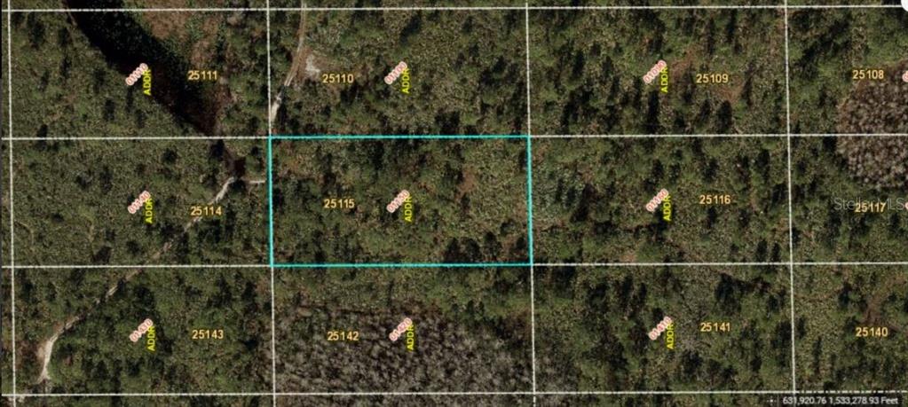 This is an aerial map view showing a highlighted rectangular plot of land among trees — DILL ROAD, ORLANDO, FL