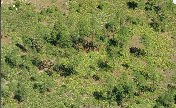 An aerial view shows a plot of undeveloped land covered with scattered trees and low vegetation — DILL ROAD, ORLANDO, FL
