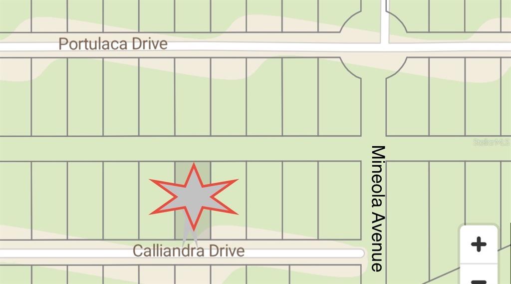 510 CALLIANDRA DRIVE