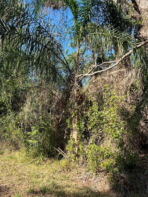 510 CALLIANDRA DRIVE, INDIAN LAKE ESTATES, FL — photo 3 of 4