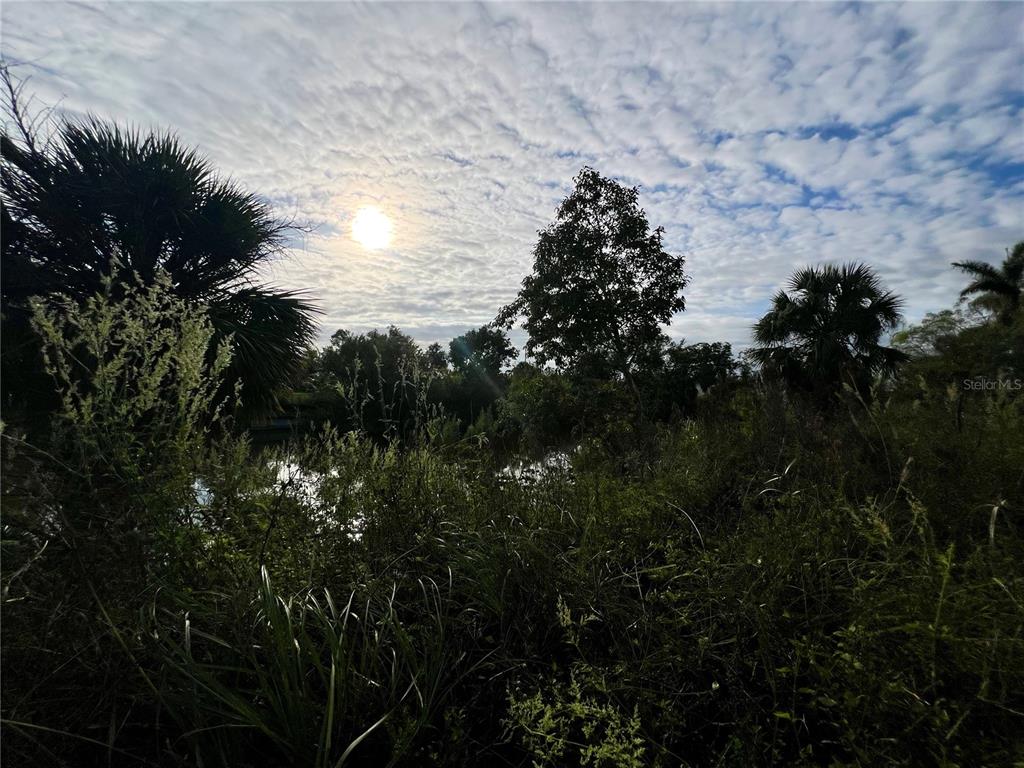 A view of a pond surrounded by overgrown vegetation and trees under a cloudy sky — 1229 NE 13TH PLACE, CAPE CORAL, FL